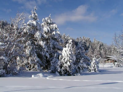 Staufenpark_im_Winter