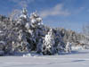 Staufenpark_im_Winter