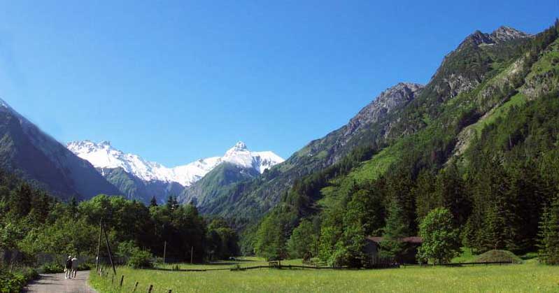 Blick6