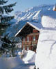 Gold_Esel_Haus_im_Winter