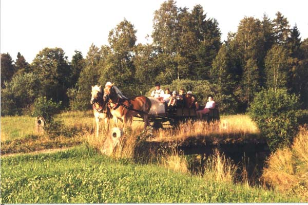 Pferdekutschfahrt_Rettenberg im Allgaeu