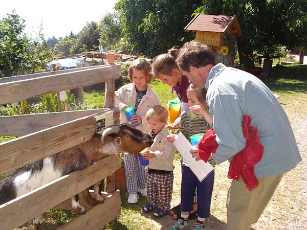 Streichelzoo am Brackenberg_Rettenberg im Allgaeu