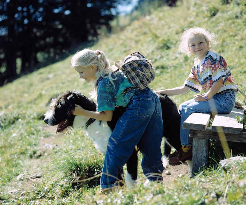 BergbahnKinderHund