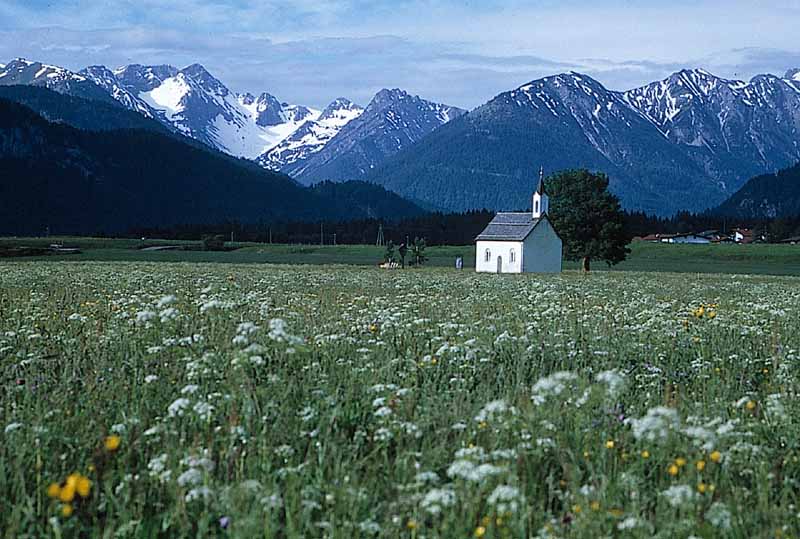 Kapelle in Wiese