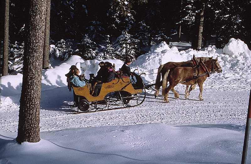 KutschenfahrtWinter 48