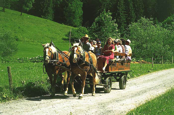 Kutschfahrt_Sommer