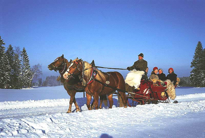 Kutschfahrt_Winter