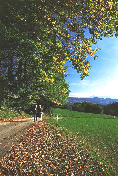 Wandern_Herbst