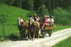 Kutschfahrt_Sommer