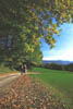 Wandern_Herbst
