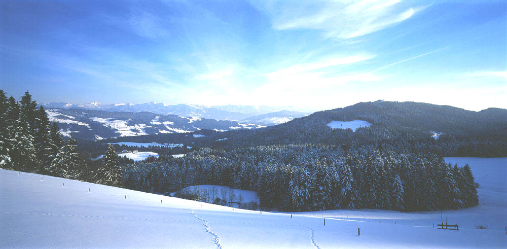 Winterpanorama