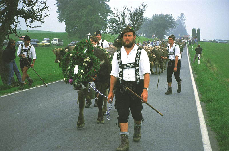 Viehscheid