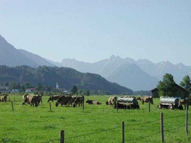 wiesenweg