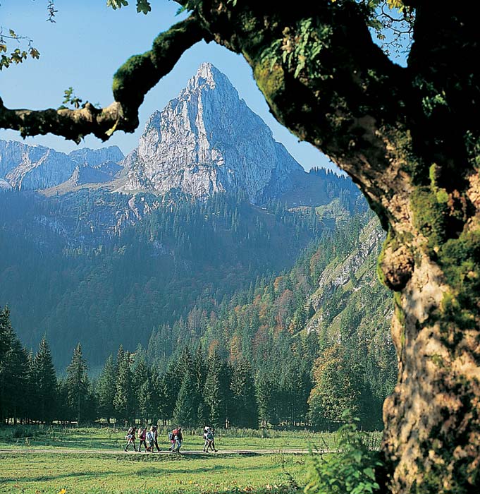 Geiselstein, Ammergauer Alpen