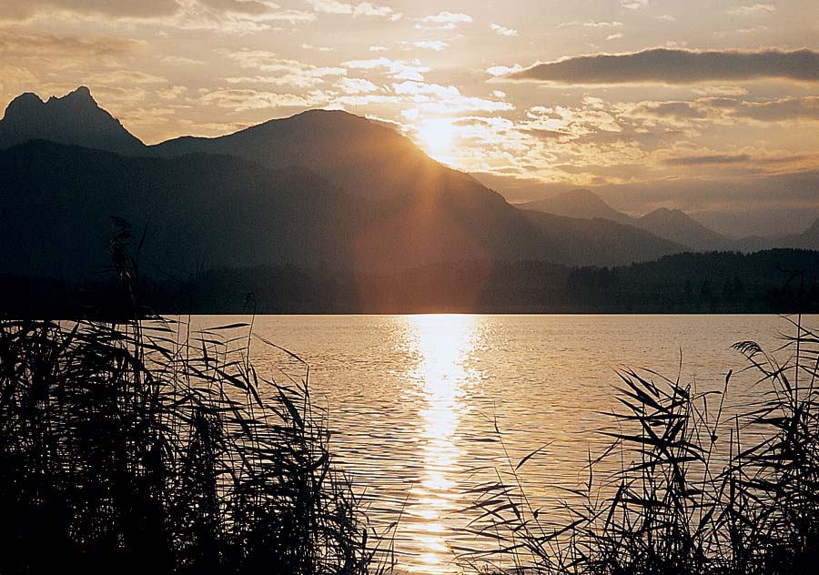 Abendstimmung am Forggensee