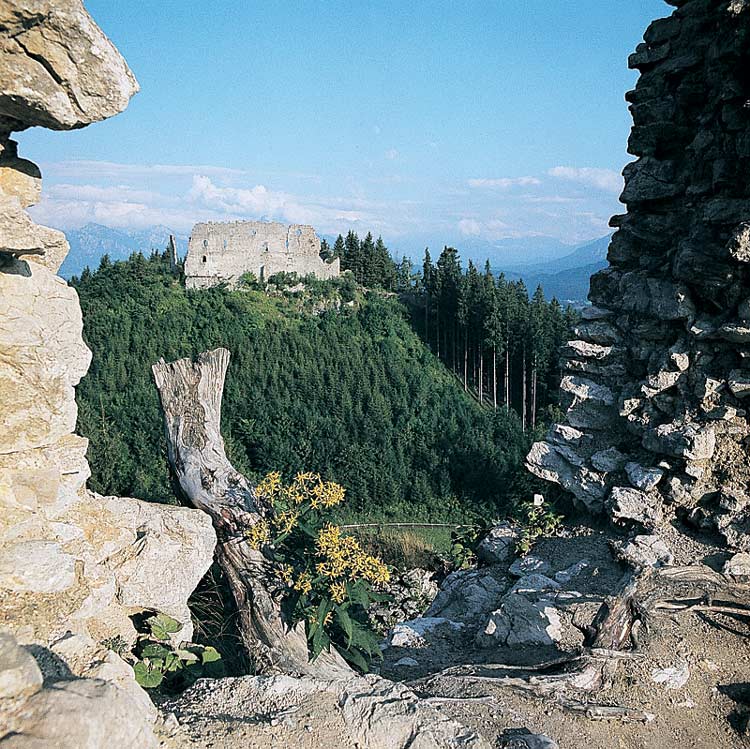 Burgruinen Freyberg und Eisenberg in Eisenberg