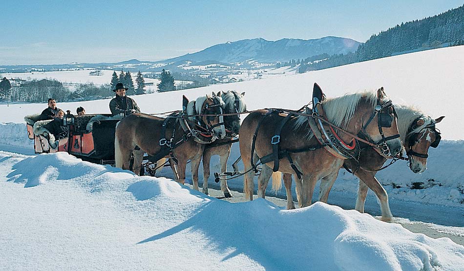 Pferdeschlittenfahrt in Roßhaupten