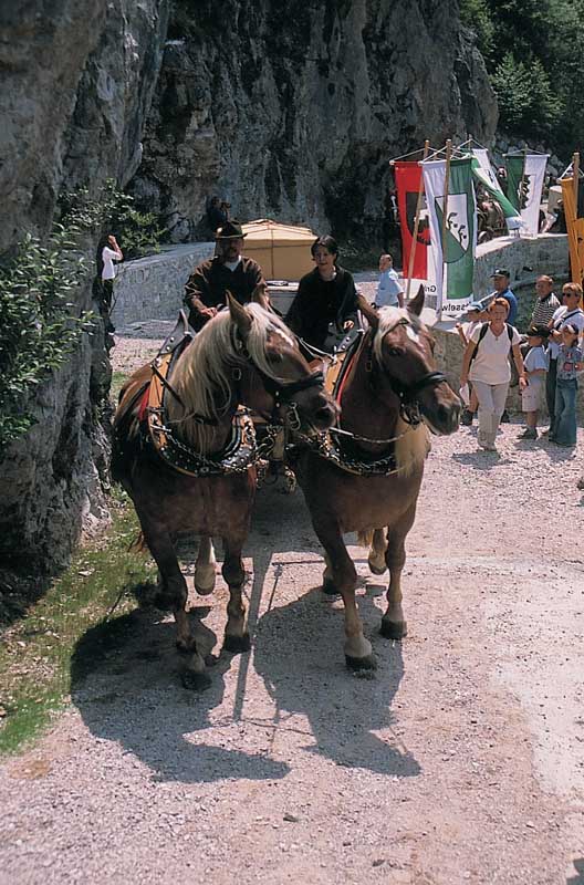 Nesselwängle - Gaicht - alter Gachtpass / Siehe auch: Rodelspass am Gaichtpass mit A.Vogler (Tannheimertal)