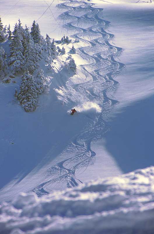 Ski, Snowboard, Carven, Telemark im Tannheimer Tal