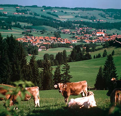 FerienaufdemBauernhofNattererhof